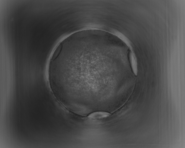 X0000103161104200808291445