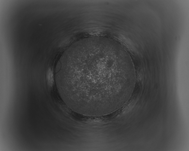 X0000103161106200808291444