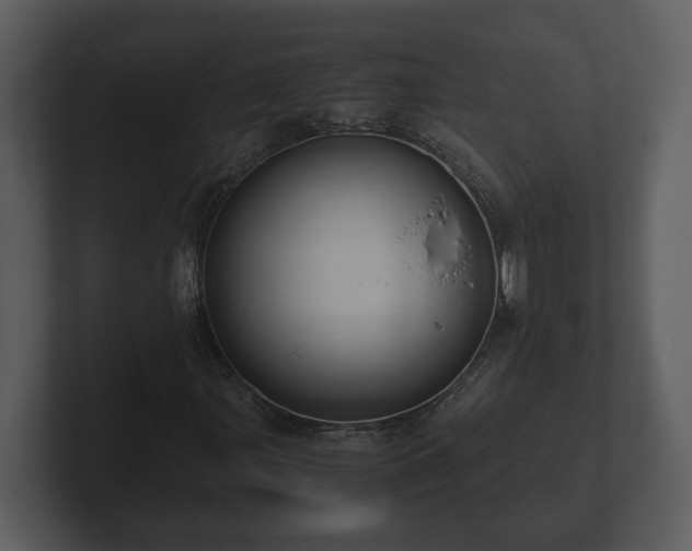 X0000103161107200808291444