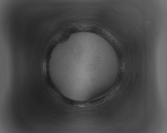 X0000103161108200808291444