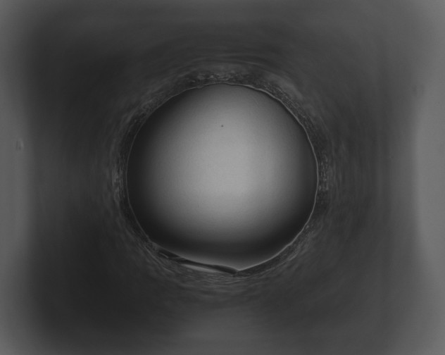 X0000103161109200808291444