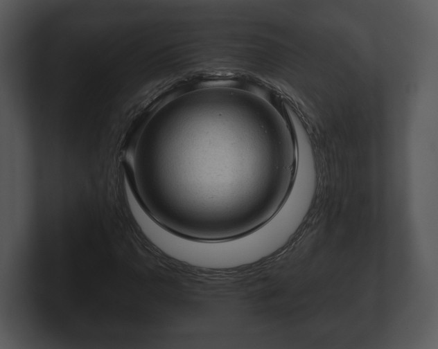 X0000103161110200808291444