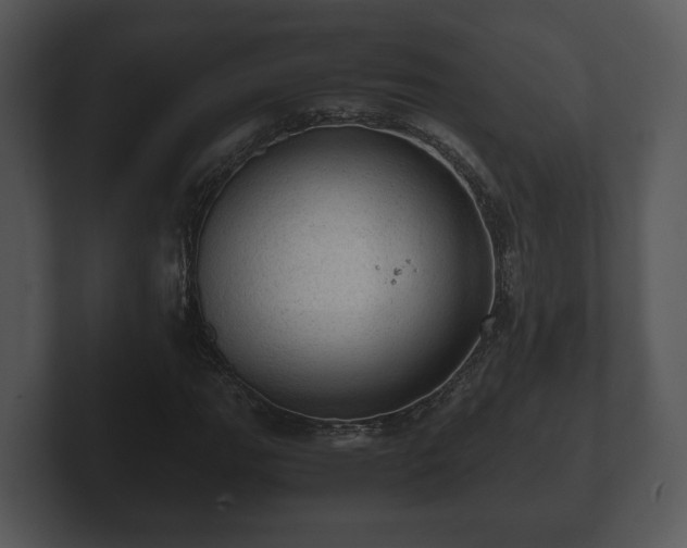 X0000103161111200808291444