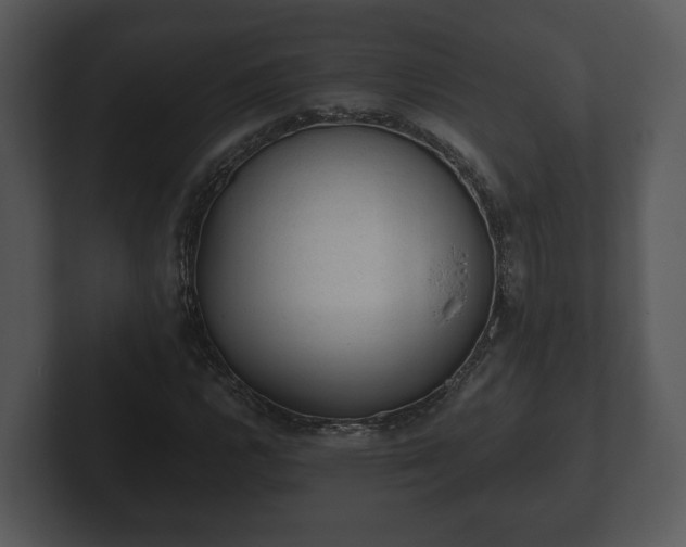 X0000103161112200808291444