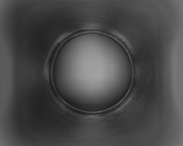X0000103161114200808291444