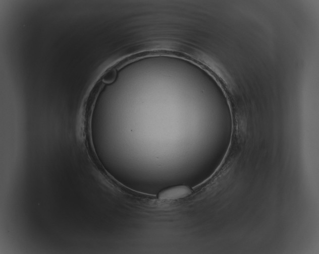 X0000103161116200808291444
