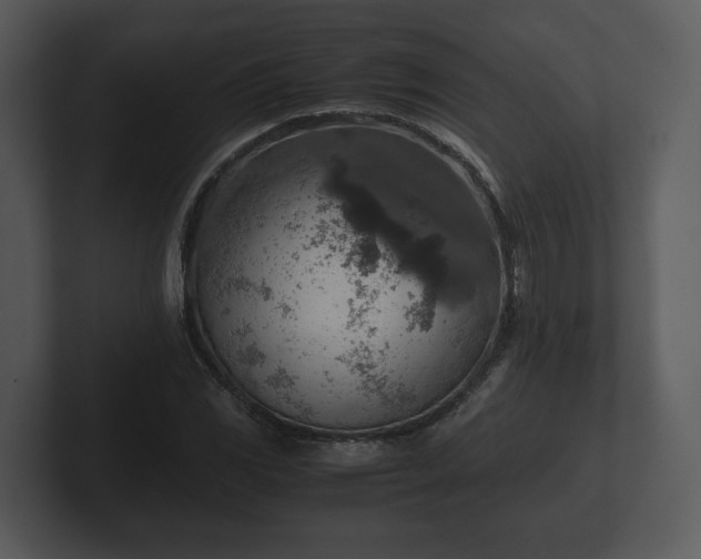 X0000103161117200808291444