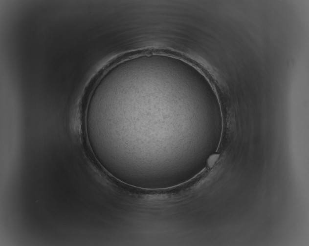 X0000103161118200808291444