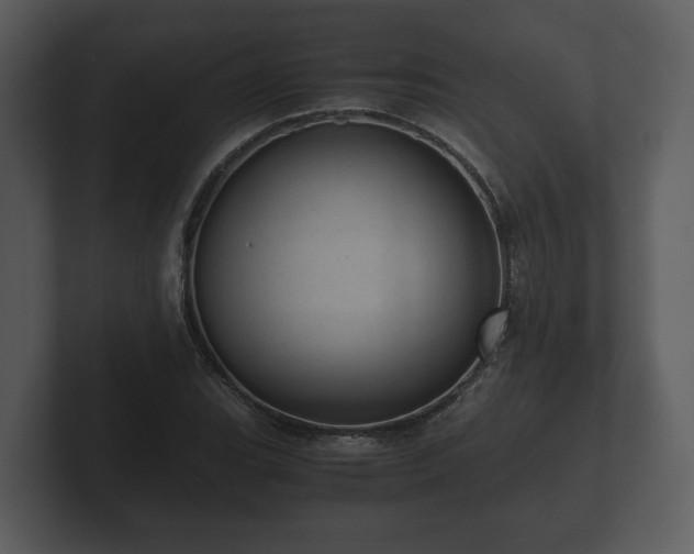 X0000103161119200808291444