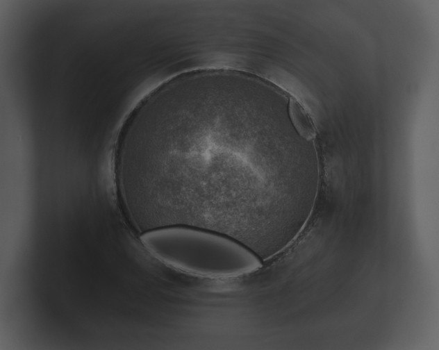 X0000103161120200808291444