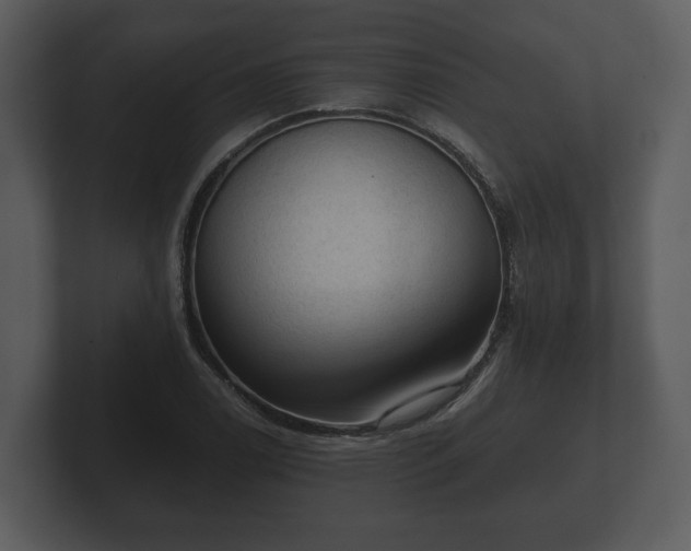 X0000103161122200808291444