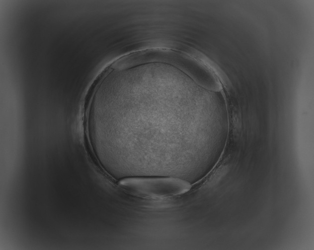 X0000103161124200808291444
