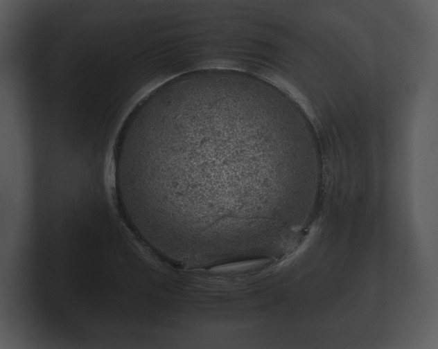 X0000103161125200808291445