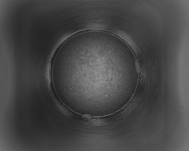 X0000103161128200808291445