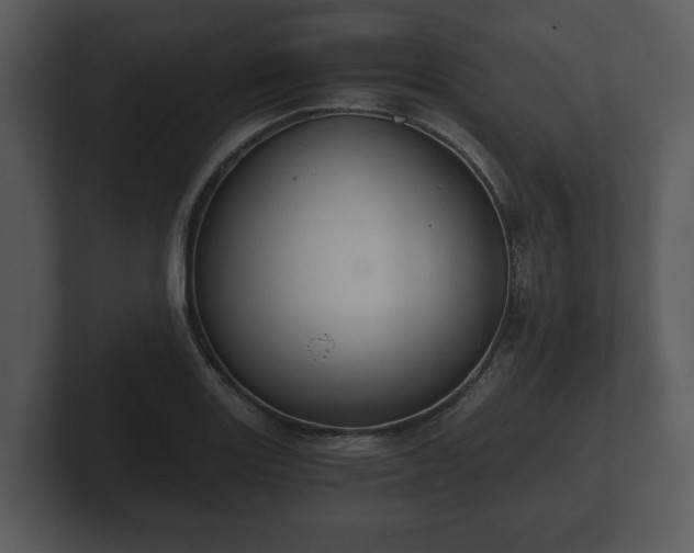 X0000103161131200808291445
