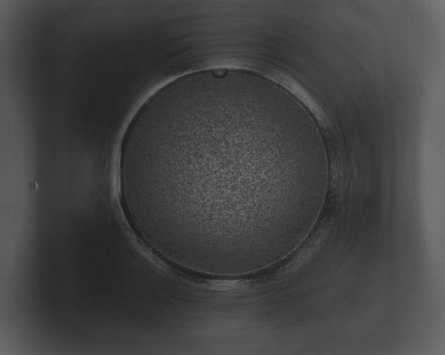 X0000103161132200808291445