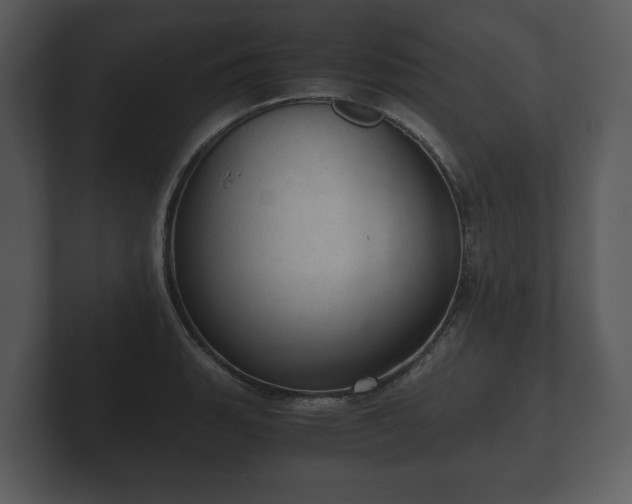 X0000103161135200808291445