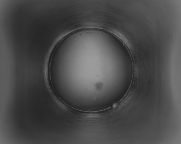 X0000103161136200808291445
