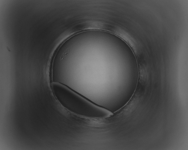 X0000103161138200808291445