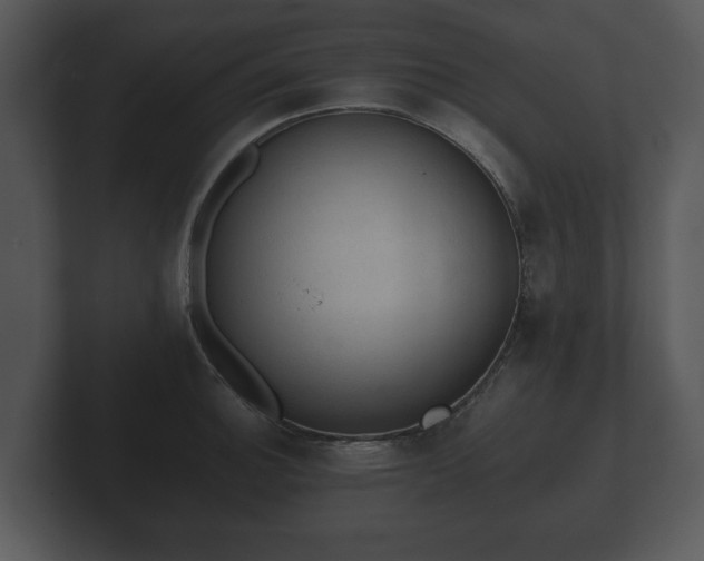 X0000103161140200808291445