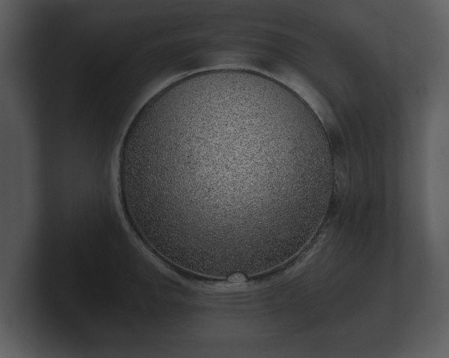 X0000103161142200808291445