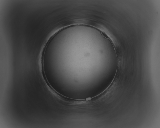 X0000103161143200808291445