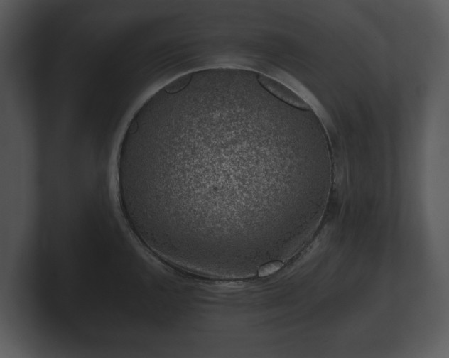 X0000103161144200808291445