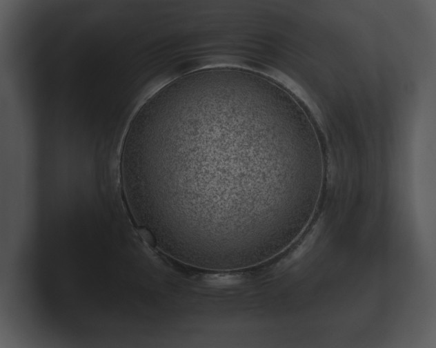 X0000103161145200808291445