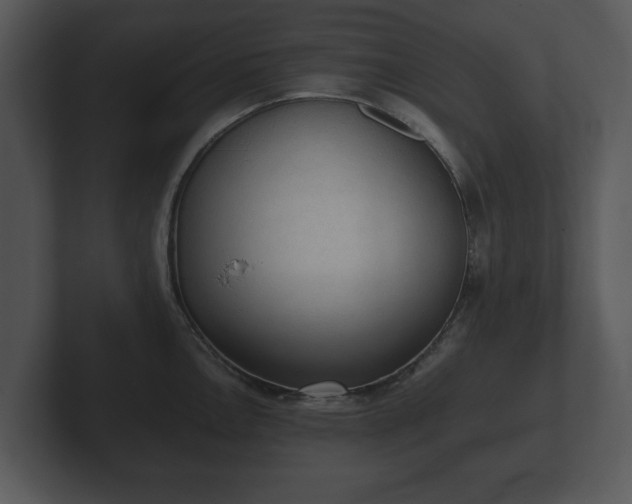 X0000103161146200808291445
