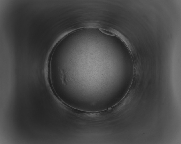 X0000103161147200808291445