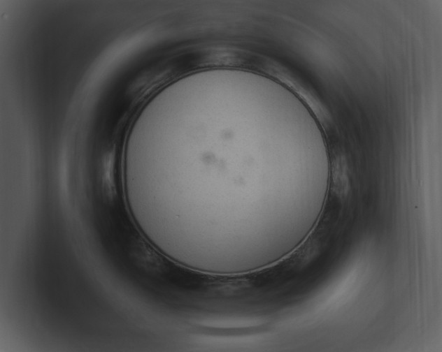 X0000103161150200808291445