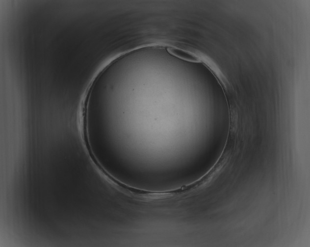 X0000103161151200808291445