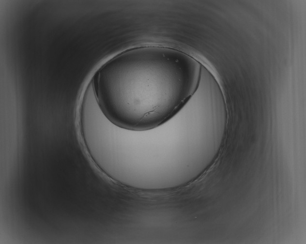 X0000103161152200808291445