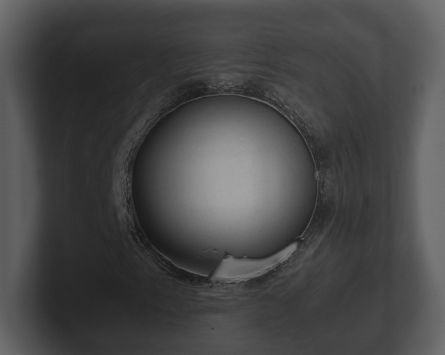 X0000103161153200808291444