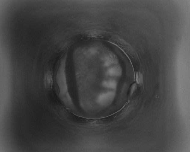 X0000103161155200808291444