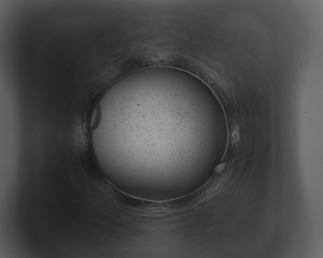 X0000103161156200808291444