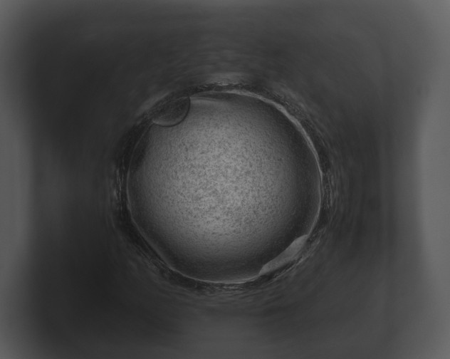 X0000103161158200808291444