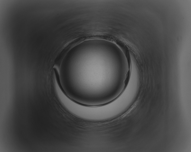 X0000103161161200808291444