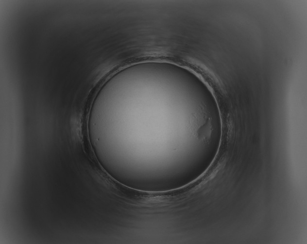 X0000103161162200808291444