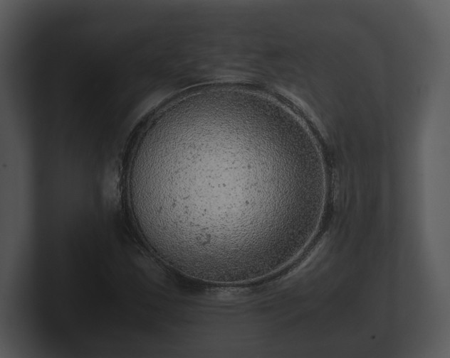 X0000103161163200808291444