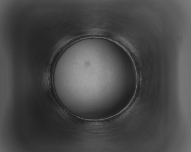X0000103161164200808291444