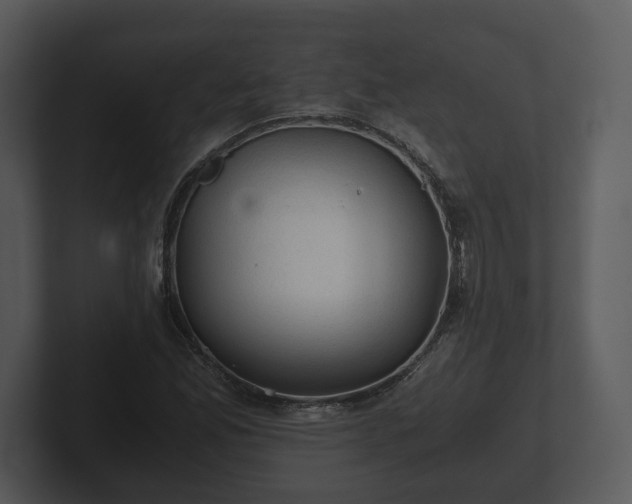 X0000103161165200808291444