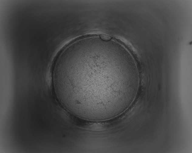 X0000103161167200808291444