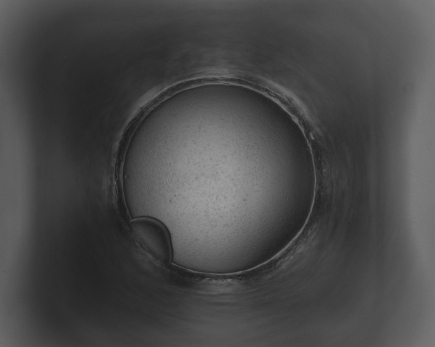 X0000103161168200808291444