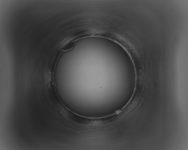 X0000103161169200808291444