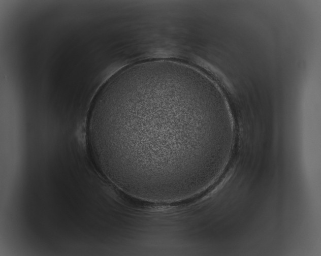 X0000103161170200808291444