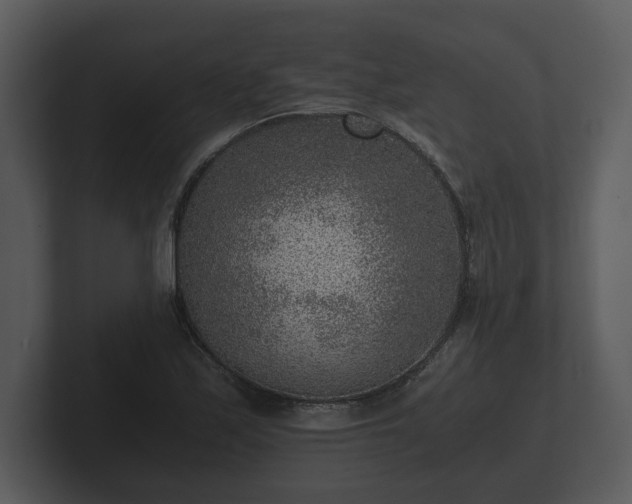 X0000103161171200808291444