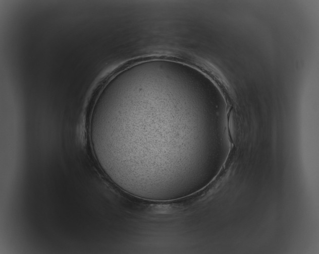 X0000103161172200808291444