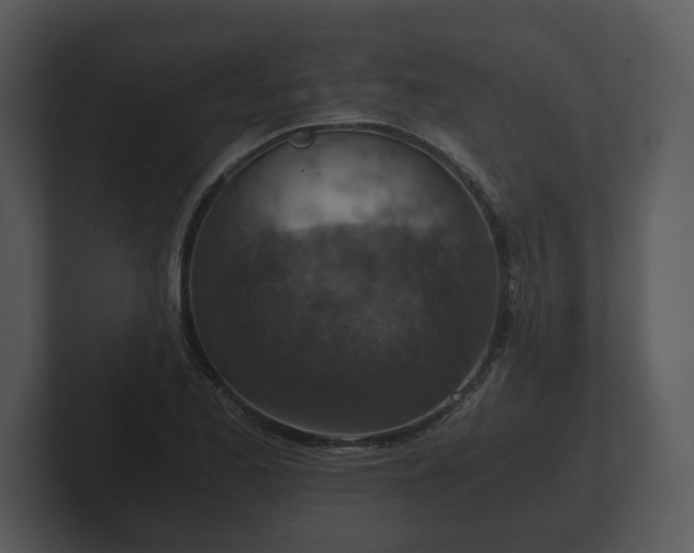 X0000103161173200808291444