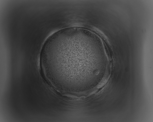 X0000103161174200808291444
